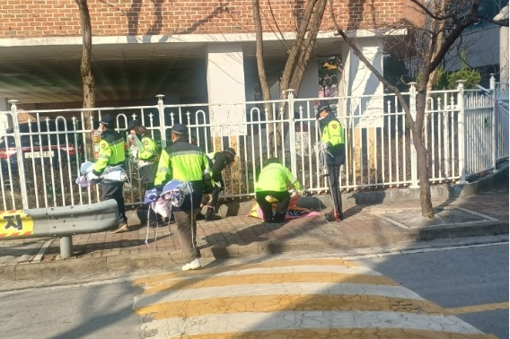 익산시가 초등학교 주변 불법 광고물에 대한 일제 정비에 들어갔다. 익산시 제공