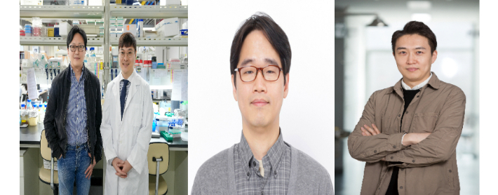 사진 왼쪽부터 김하진 교수, 김성호 박사(제1저자), 권태준 교수, 강주헌 교수. UNIST 제공