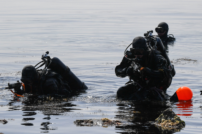 해병대 1시단 제공