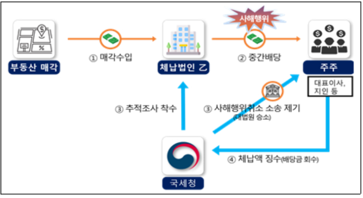 중간배당 후 폐업 사례. 국세청 제공