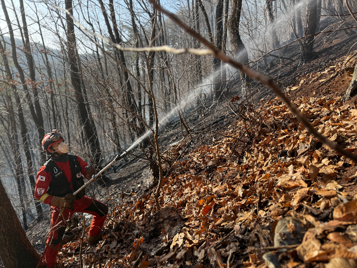 13일 오후 2시 29분쯤 강원 평창군 평창읍 마지리 인근 사유림에서 불이 나 3시간 10여 분 만에 진화됐다. 동부지방산림청 제공 