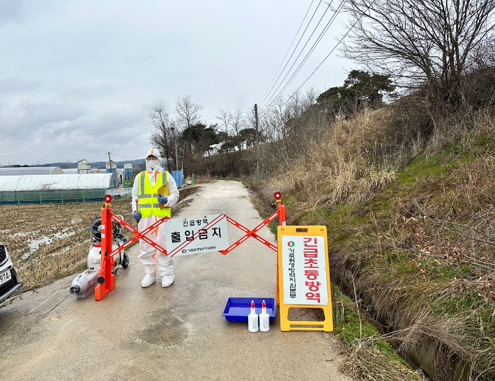 전남 영암군의 한 한우농가에서 구제역이 발생했다. 국내에서 구제역이 발생한 것은 1년 10개월 만이다. 자료사진. 전남도 제공