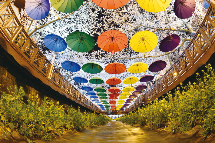 진해 여좌천. 경남도청 제공 