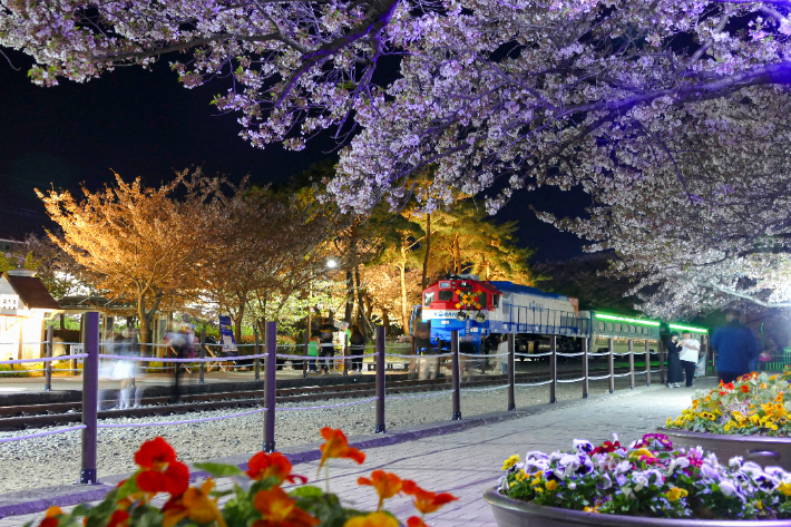 진해 경화역. 경남도청 제공 