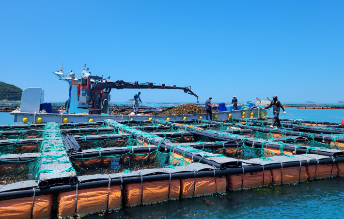 친환경수산물 생산기반- 전복양식장. 전남도 제공