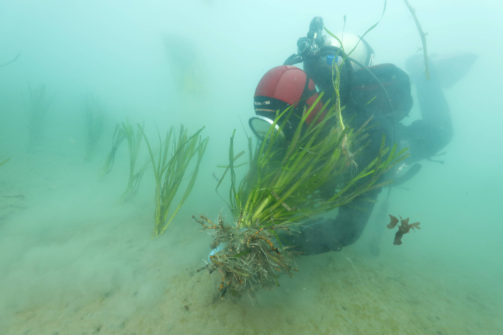 수산자원 조성-인공어초. 전남도 제공