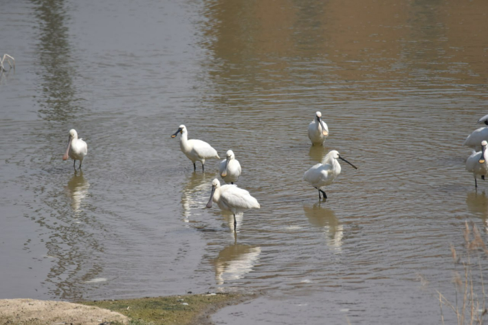 청주충북환경운동연합 제공