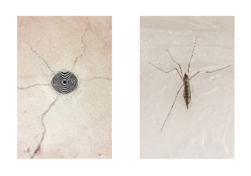 박심정훈 작가의 '어쩌면 그런 관계' 작품. 경북문화관광공사 제공