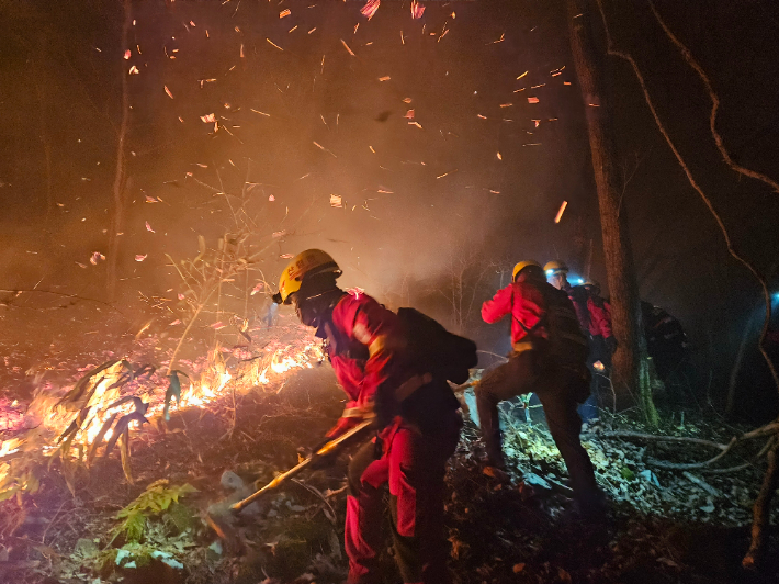 산청군 산불 야간 진화 작업. 산림청 제공 