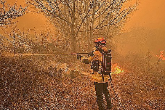 경북소방본부 제공