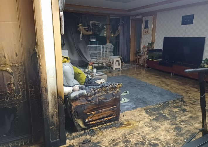 진천소방서 제공