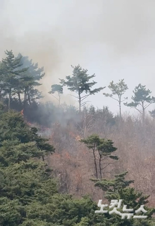 25일 오전 11시 54분쯤 울산 울주군 언양읍 대운리 화장산에 화재가 발생해 5시간 넘게 진화 작업이 이어지고 있다. 사진 김현균씨 제공