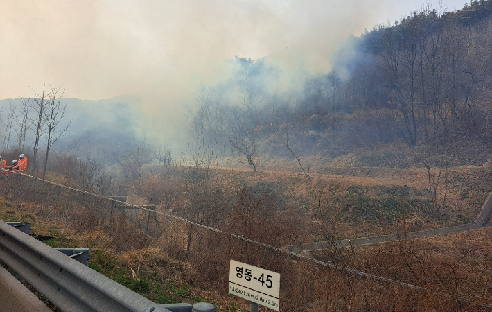 충북소방본부 제공