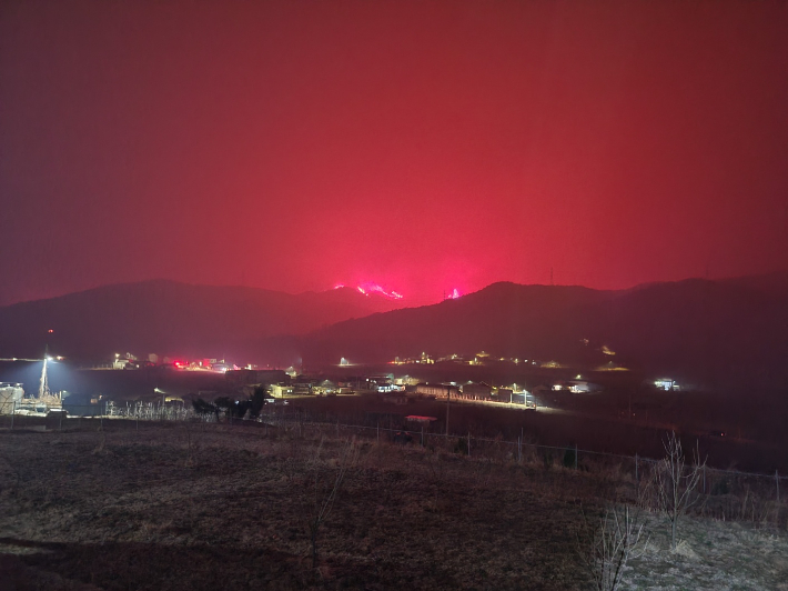 경북소방본부 제공