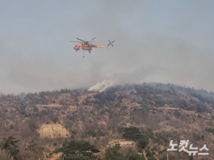 울산 울주군 언양읍 송대리 산불 현장. 이상록 기자 