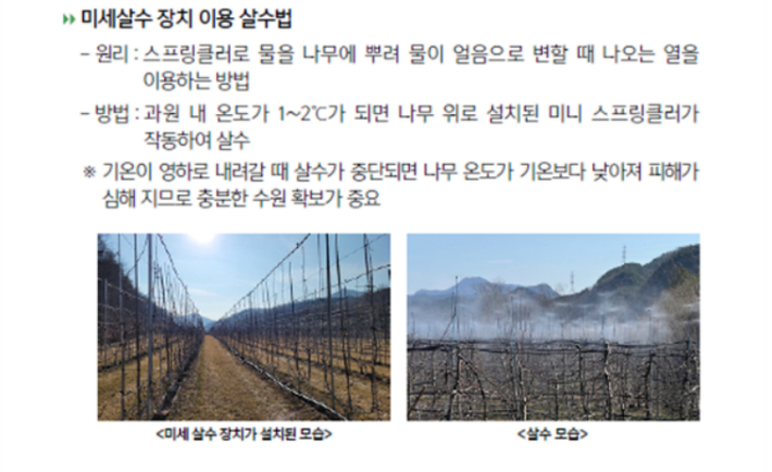 과수의 저온 및 서리피해 예방 방법. 농진청 제공