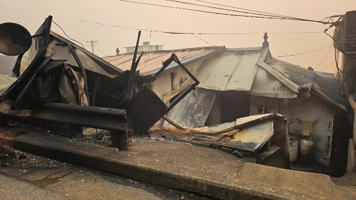 영덕군 축산면 고곡리 피해. 독자 제공