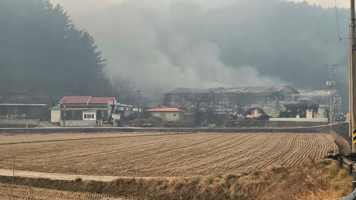 영덕군 축산면 고곡리 피해. 독자 제공