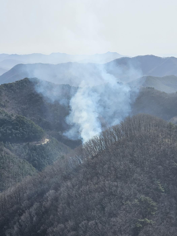금산 산불 현장. 충남도 제공