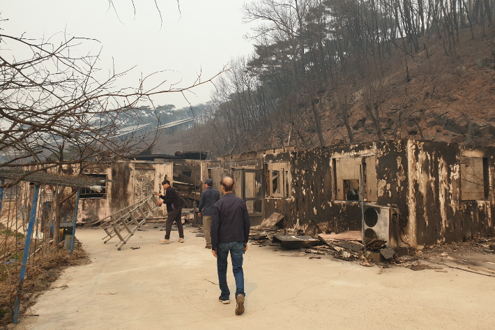 대한예수교장로회 포항노회 임원들이 산불 피해지역을 둘러보고 있다. 대한예수교장로회 포항노회 제공
