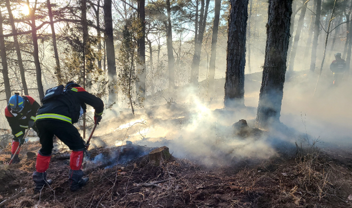 전라남도는 대형산불 예방을 위해 오는 4월 15일까지 도·시군 공무원, 산불전문진화대, 산불감시원 등을 투입해 산림 인접지 불법 소각행위를 집중적으로 단속한다고 밝혔다. 전남도 제공