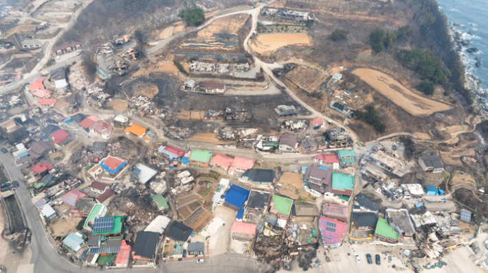 드론에 찍힌 영덕읍 노물리 마을. 영덕군 제공