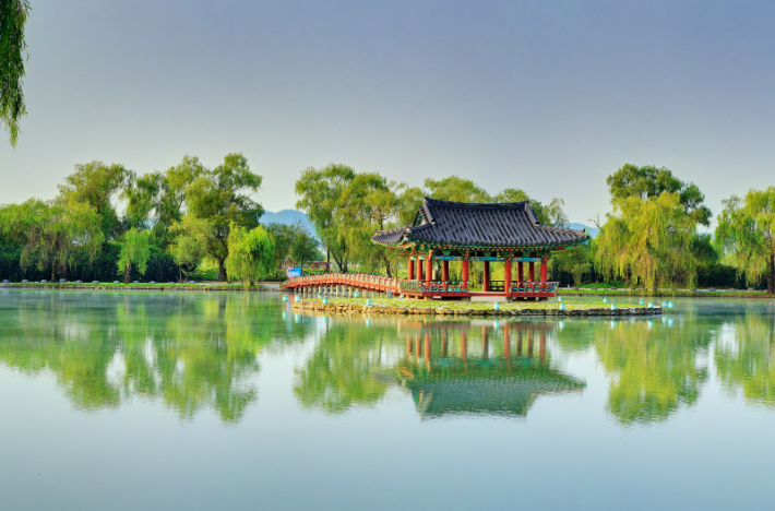 궁남지 봄. 부여군 제공 