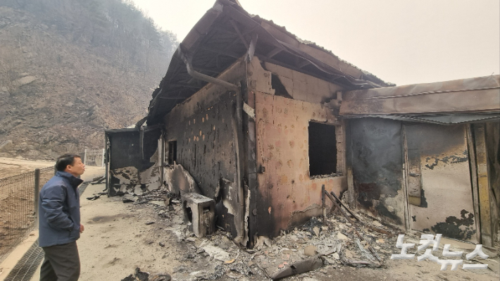 영덕의 한 주민이 전소된 주택을 보고 넋을 놓고 있다. 김대기 기자
