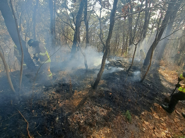 2일 오후 3시 40분쯤 부산 사상구 승학산에 불이 나 1시간 만에 꺼졌다. 부산소방재난본부 제공