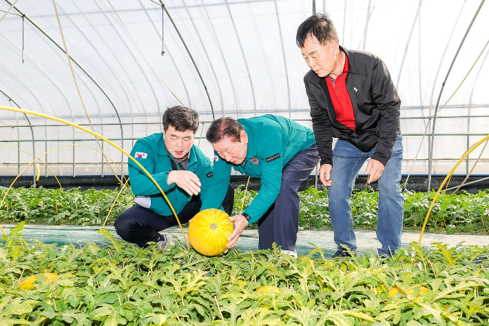 조근제 함안군수가 지난 1일 세계수박 재배현장을 방문해 생육상황과 재배여건 등을 살펴보고 있다. 함안군 제공 
