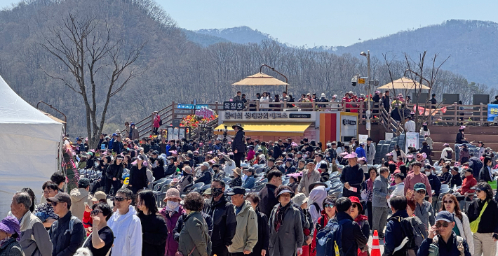 옥정호 벚꽃 축제. 임실군 제공