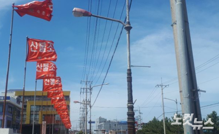 7일 오후 강원 동해안 지역에 강풍예비특보가 발효되면서 산불 예방에 각별한 주의가 요구되고 있다. 전영래 기자