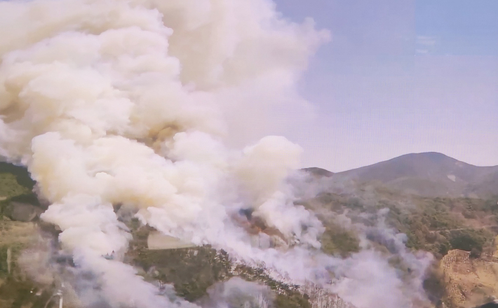 하동 산불. 독자 제공 