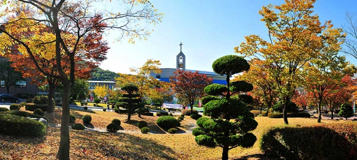 백석대학교 자료제공