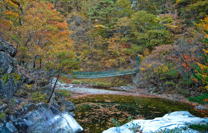 울진 구수곡자연휴양림 야영장. 울진군 제공