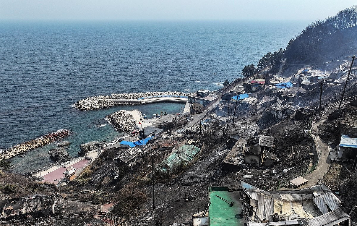 산불로 폐허가 된 경북 영덕군 영덕읍 석리 마을. 연합뉴스