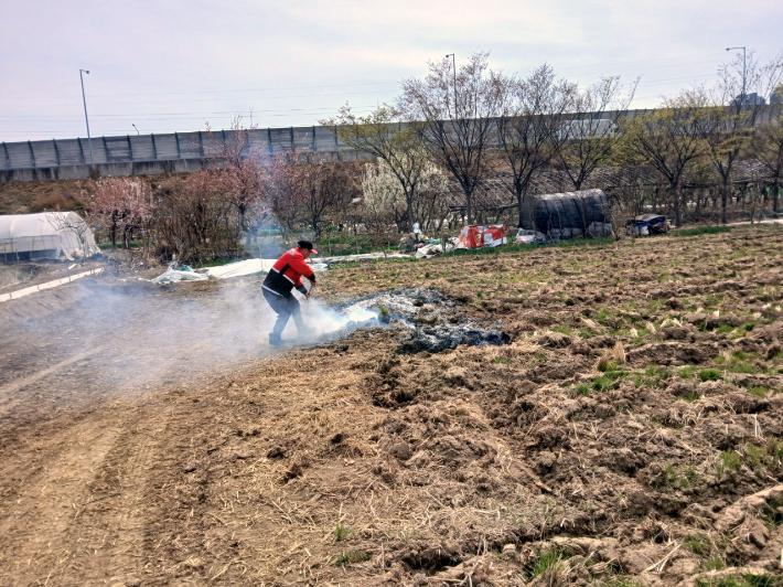 대구 달성군 제공