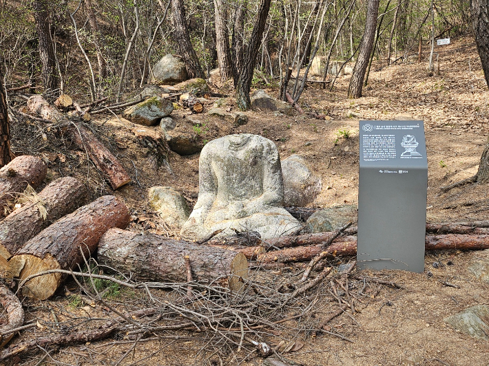 재선충에 감염된 소나무를 베어내던 중 소나무와 부딪히는 피해를 입은 '용장계 사곡 제1사지 약사여래좌상'. 독자 제공