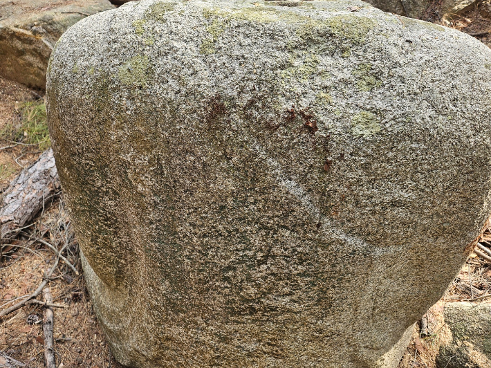 넘어지던 소나무와 부딪혀 나무껍질이 고스란히 묻어 있는 약사여래좌상. 독자 제공