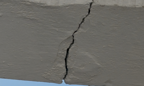 진천 풍림아이원 아파트 비상대책위원회 제공