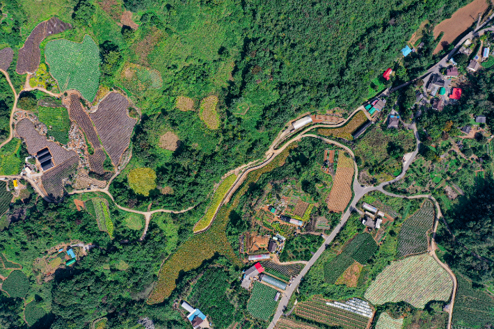 카르스트 지형. 충북도 제공