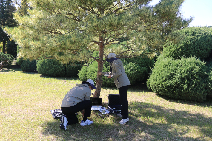 산림병해충 예찰. 전라남도 제공 