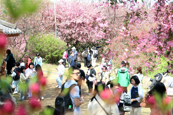 전주 완산공원 꽃동산에서 시민들이 봄꽃을 즐기고 있다. 전주시 제공