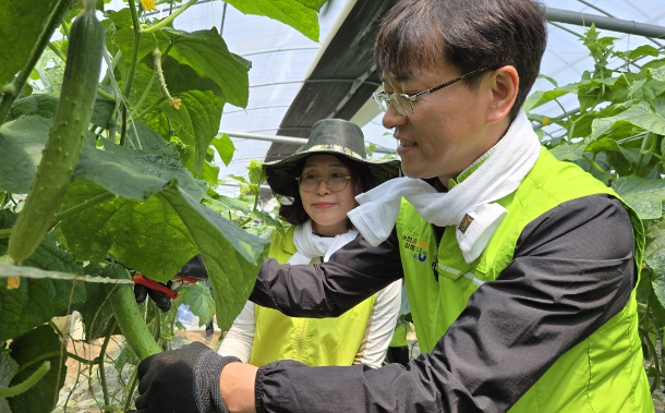 농협 전남본부(본부장 이광일)는 16일 고흥군 소재 보급형 스마트팜 농가를 방문해 스마트농업 현장 일손돕기, ESG 실천 활동을 펼쳤다. 전남농협 제공