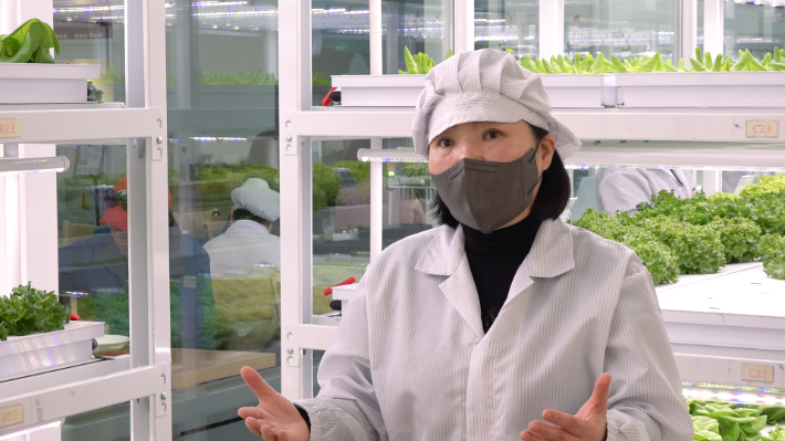 해피팜 최정원 총괄이사. 노컷TV 캡처