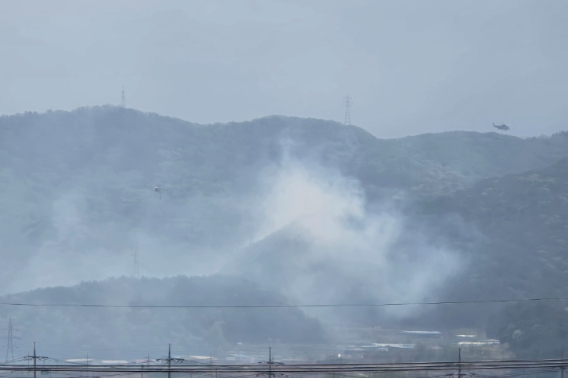 경주 안강 산불 모습. 독자 제공