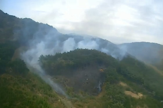 충남 서천 산불 현장. 산림청 제공