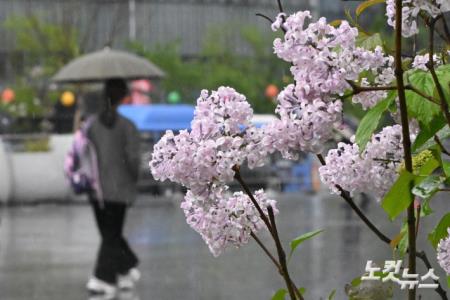 전국에 봄비