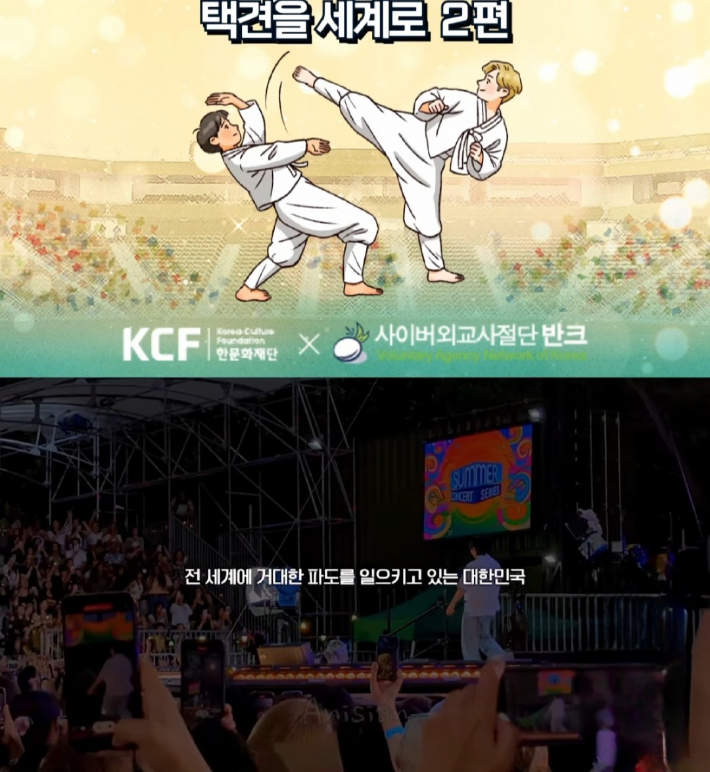 사이버외교사절단 반크가 제작한 택견 홍보 릴스 영상 2편. 해당 영상 캡처