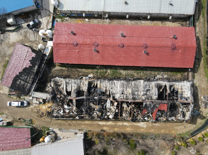 소양면 돈사 화재 모습. 건물 간 거리가 확보돼 피해가 줄었다. 전북소방본부 제공